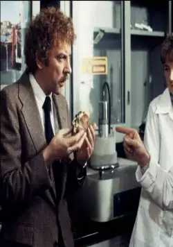 Вторжение похитителей тел (1978) скачать торрент файл Вторжение похитителей тел (1978) фильм скачать торрент файл