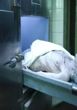 Похороненная (2009) в хорошем качестве скачать торрент файл Похороненная (2009) фильм в хорошем качестве скачать торрент файл