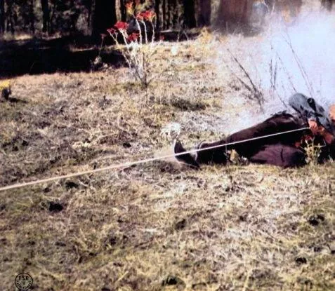 Бравадос (1958) в хорошем качестве скачать торрент файл Бравадос (1958) фильм в хорошем качестве скачать торрент файл