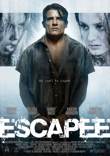 Беглец / Escapee (2011) фильм скачать через торрет бесплатно в хорошем качестве