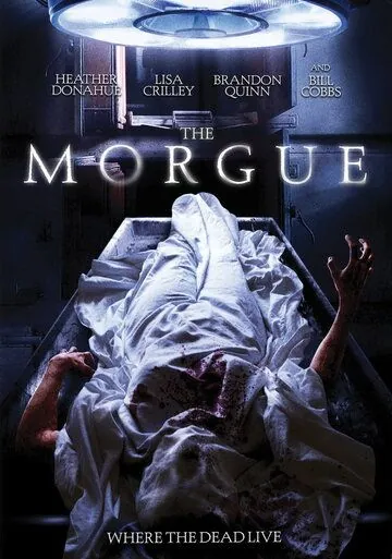 Морг / The Morgue (2008) фильм скачать через торрет бесплатно в хорошем качестве