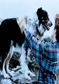 Старина Боб (1998) скачать торрент файл Старина Боб (1998) фильм скачать торрент файл