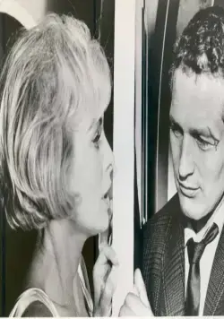 Харпер (1966) в хорошем качестве скачать торрент файл Харпер (1966) фильм в хорошем качестве скачать торрент файл