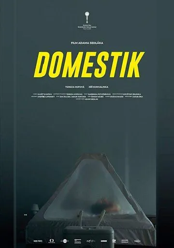 Домашний режим / Domestik (2018) фильм скачать через торрет бесплатно в хорошем качестве