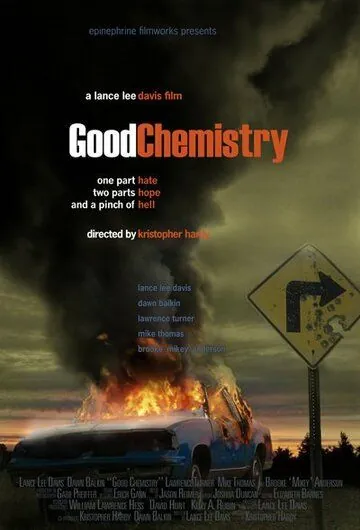 Хорошая химия / Good Chemistry (2008) фильм скачать через торрет бесплатно в хорошем качестве