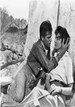 Поцелуй перед смертью (1956) скачать торрент бесплатно Поцелуй перед смертью (1956) фильм скачать торрент бесплатно