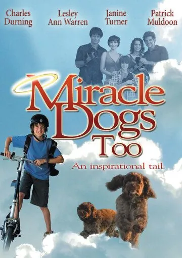 Зак и чудо-собаки / Miracle Dogs Too (2006) фильм скачать через торрет бесплатно в хорошем качестве