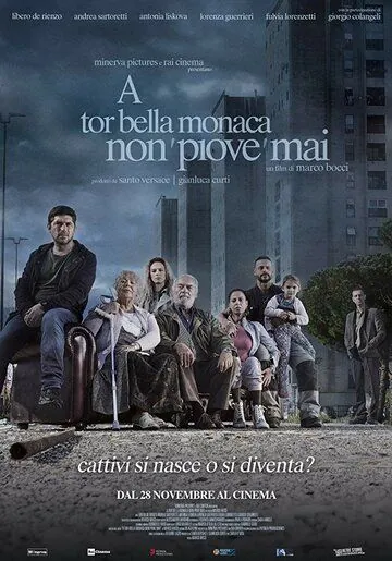 Этот безумный мир / A tor bella monaca non piove mai фильм скачать через торрет бесплатно в хорошем качестве