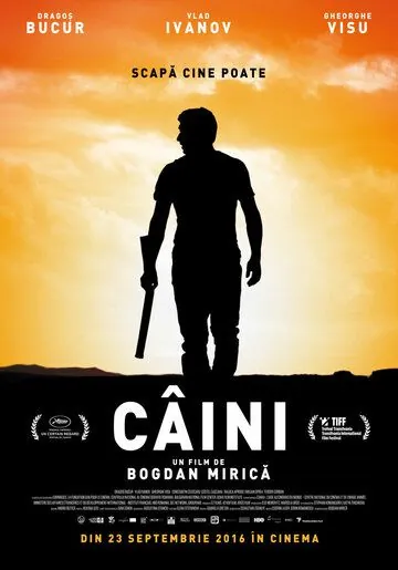 Собаки / Câini (2016) фильм скачать через торрет бесплатно в хорошем качестве