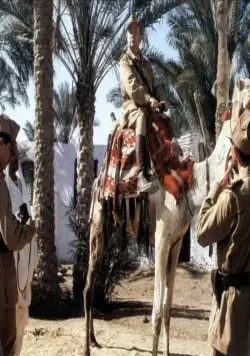 Безумец на войне (1985) скачать торрент бесплатно Безумец на войне (1985) фильм скачать торрент бесплатно