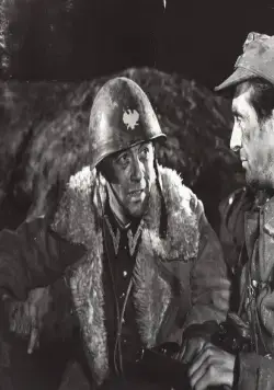 Красная рябина (1969) скачать торрент файл Красная рябина (1969) фильм скачать торрент файл