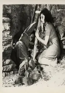 Земляк (1946) скачать торрент бесплатно Земляк (1946) фильм скачать торрент бесплатно