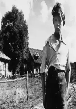 Запрещённые игры (1952) скачать торрент бесплатно Запрещённые игры (1952) фильм скачать торрент бесплатно