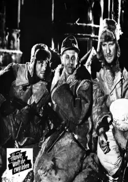 Собаки, хотите жить вечно? (1959) скачать торрент файл Собаки, хотите жить вечно? (1959) фильм скачать торрент файл