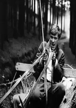 Повозка в Вену (1966) в хорошем качестве скачать торрент файл Повозка в Вену (1966) фильм в хорошем качестве скачать торрент файл