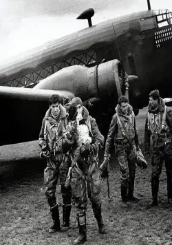 Небесные наездники (1968) скачать торрент бесплатно Небесные наездники (1968) фильм скачать торрент бесплатно