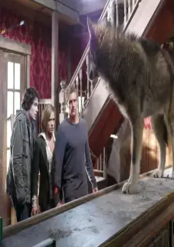 Город волков (2011) скачать торрент файл Город волков (2011) фильм скачать торрент файл