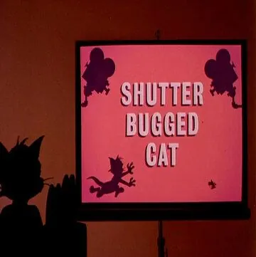Кот скрытой камерой / Shutter Bugged Cat (1967) мультфильм скачать через торрет бесплатно в хорошем качестве