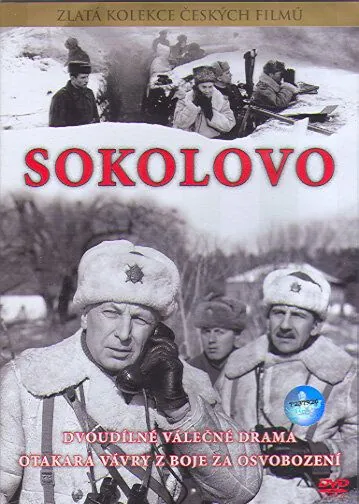 Соколово (1975) фильм скачать через торрет бесплатно в хорошем качестве