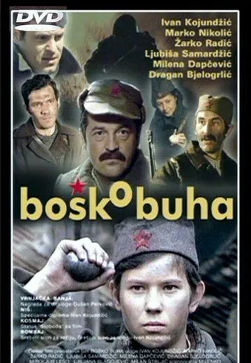 Бошко Буха / Bosko Buha (1978) фильм скачать через торрет бесплатно в хорошем качестве