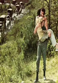 Гнездо шершней (1970) скачать торрент файл Гнездо шершней (1970) фильм скачать торрент файл