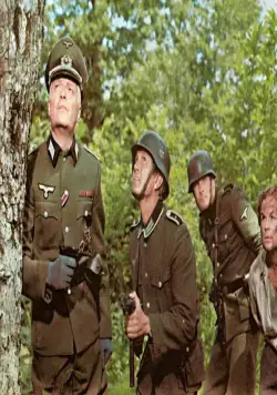 Гнездо шершней (1970) скачать торрент бесплатно Гнездо шершней (1970) фильм скачать торрент бесплатно