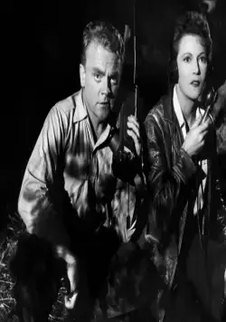 Дом 13 по улице Мадлен (1946) скачать торрент файл Дом 13 по улице Мадлен (1946) фильм скачать торрент файл