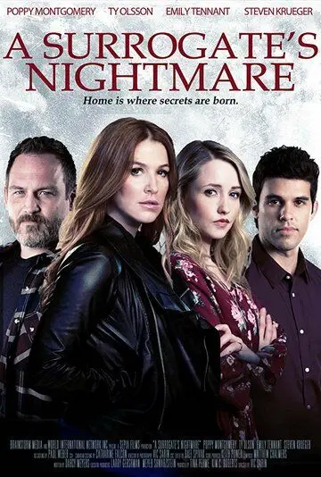 Суррогатный кошмар / A Surrogate's Nightmare (2017) фильм скачать через торрет бесплатно в хорошем качестве