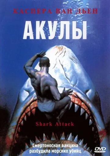 Акулы / Shark Attack (1999) фильм скачать торрент файле бесплатно Скачать Акулы / Shark Attack(1999) фильм с торрента бесплатно