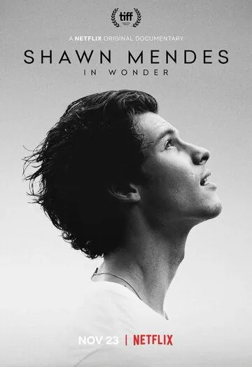 Шон Мендес: In Wonder / Shawn Mendes: In Wonder (2020) фильм скачать через торрет бесплатно в хорошем качестве