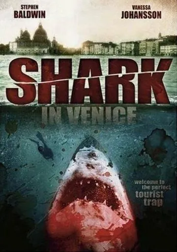 Акула в Венеции / Sharks in Venice (2008) фильм скачать через торрет бесплатно в хорошем качестве