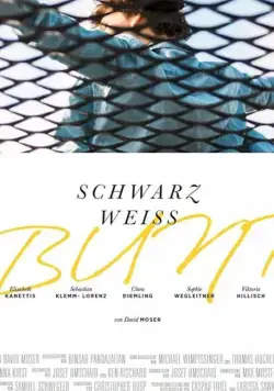 Черный Белый Разноцветный / Schwarz Weiss Bunt (2020) фильм скачать через торрет бесплатно в хорошем качестве