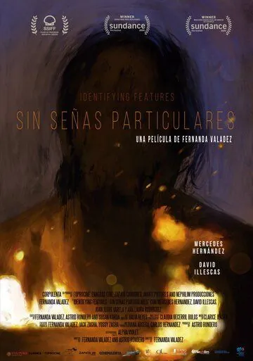 Без особых примет / Sin señas particulares (2020) фильм скачать через торрет бесплатно в хорошем качестве