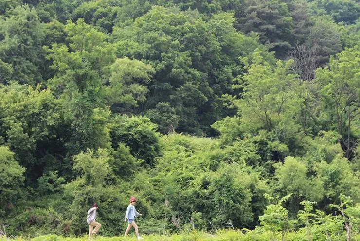 У меня свидание с весной (2018) скачать торрент файл У меня свидание с весной (2018) фильм скачать торрент файл