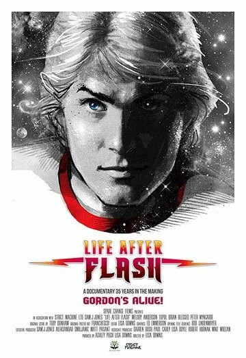 Жизнь после Флэша / Life After Flash (2017) фильм скачать через торрет бесплатно в хорошем качестве
