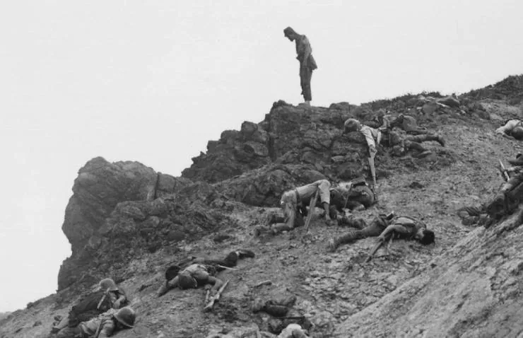 Полевые огни (1959) скачать торрент бесплатно Полевые огни (1959) фильм скачать торрент бесплатно