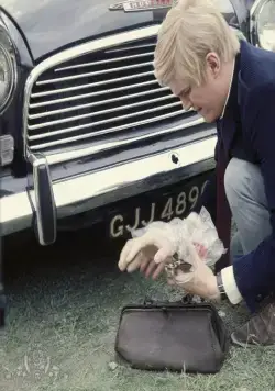 Крик и снова крик (1969) скачать торрент бесплатно Крик и снова крик (1969) фильм скачать торрент бесплатно