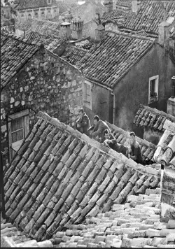 Тайное вторжение (1964) в хорошем качестве скачать торрент файл Тайное вторжение (1964) фильм в хорошем качестве скачать торрент файл