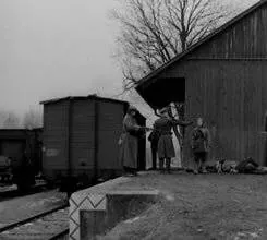 Выстрел из милосердия (1976) скачать торрент бесплатно Выстрел из милосердия (1976) фильм скачать торрент бесплатно