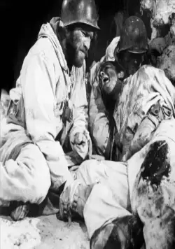 Примкнуть штыки! (1951) скачать торрент бесплатно Примкнуть штыки! (1951) фильм скачать торрент бесплатно