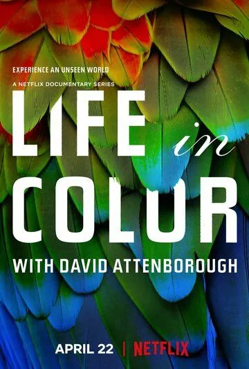Жизнь в цвете с Дэвидом Аттенборо / Life in Colour (2021) сериал скачать через торрет бесплатно в хорошем качестве