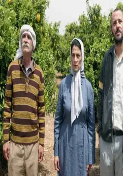 Лимонное дерево (2008) скачать торрент бесплатно Лимонное дерево (2008) фильм скачать торрент бесплатно