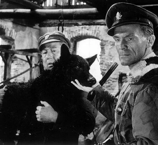 Король Шумавы (1959) скачать торрент файл Король Шумавы (1959) фильм скачать торрент файл