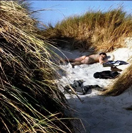 Без памяти (2002) в хорошем качестве скачать торрент файл Без памяти (2002) фильм в хорошем качестве скачать торрент файл