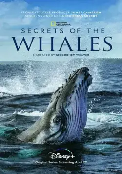 Тайны китов / Secrets of the Whales (2021) cериал скачать через торрет бесплатно в хорошем качестве