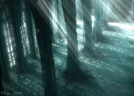 Кафедральный собор (2002) скачать торрент бесплатно Кафедральный собор (2002) мультфильм скачать торрент бесплатно