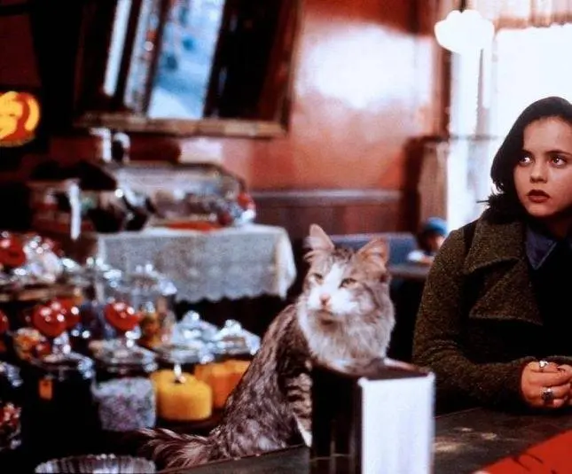 Эта дикая кошка (1997) в хорошем качестве скачать торрент файл Эта дикая кошка (1997) фильм в хорошем качестве скачать торрент файл