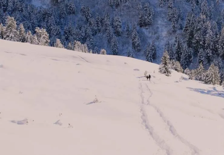 Пылкий призрак (2019) скачать торрент бесплатно Пылкий призрак (2019) фильм скачать торрент бесплатно