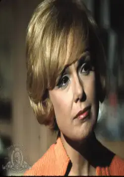 Горшок мёда (1967) в хорошем качестве скачать торрент файл Горшок мёда (1967) фильм в хорошем качестве скачать торрент файл