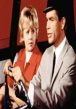 Эта дикая кошка (1965) скачать торрент файл Эта дикая кошка (1965) фильм скачать торрент файл